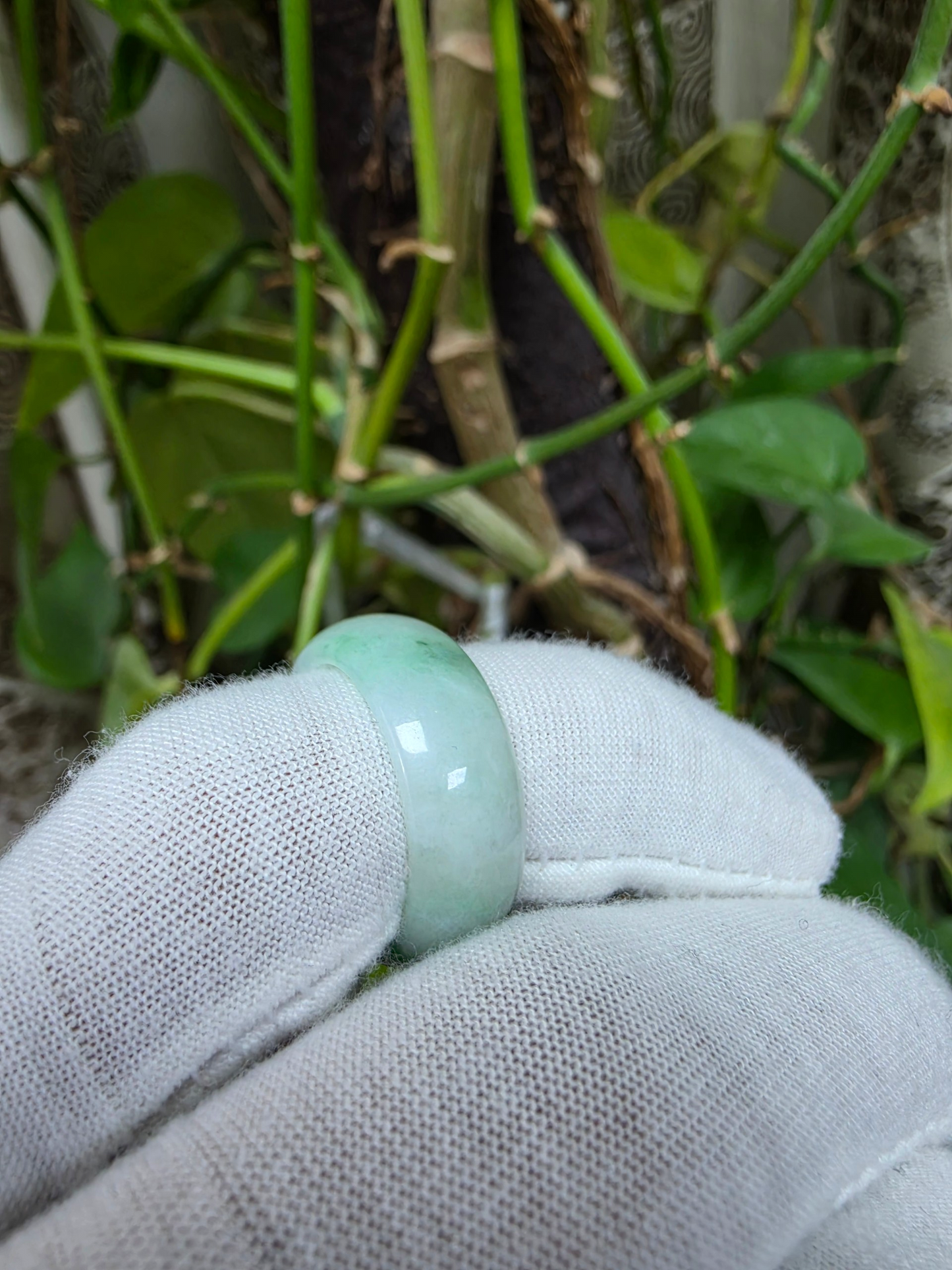 Burmese Green A-Jade Infinity Band Ring - Size US 9 - V6
