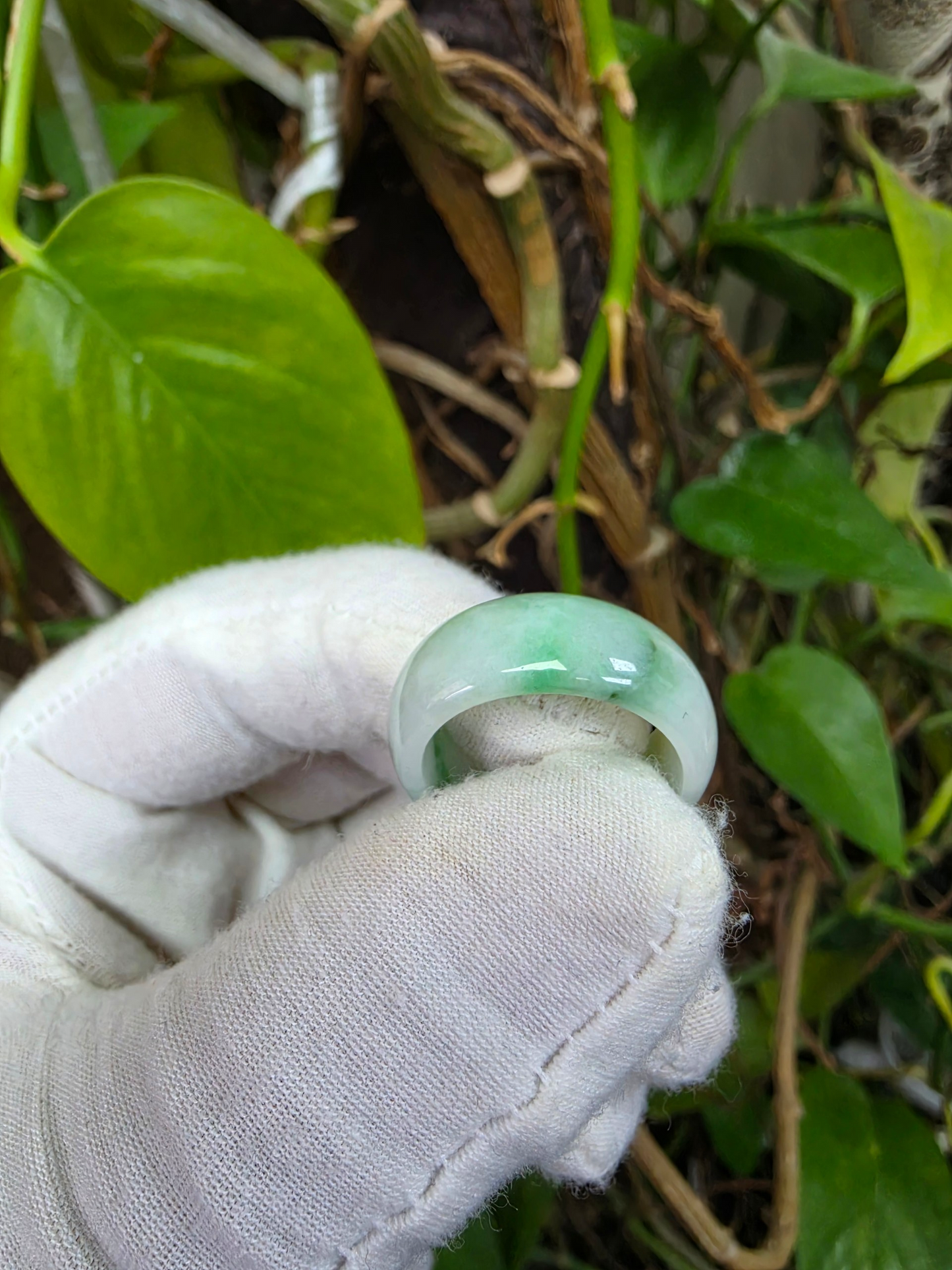 Burmese Green A-Jade Infinity Band Ring - Size US 9 - V6