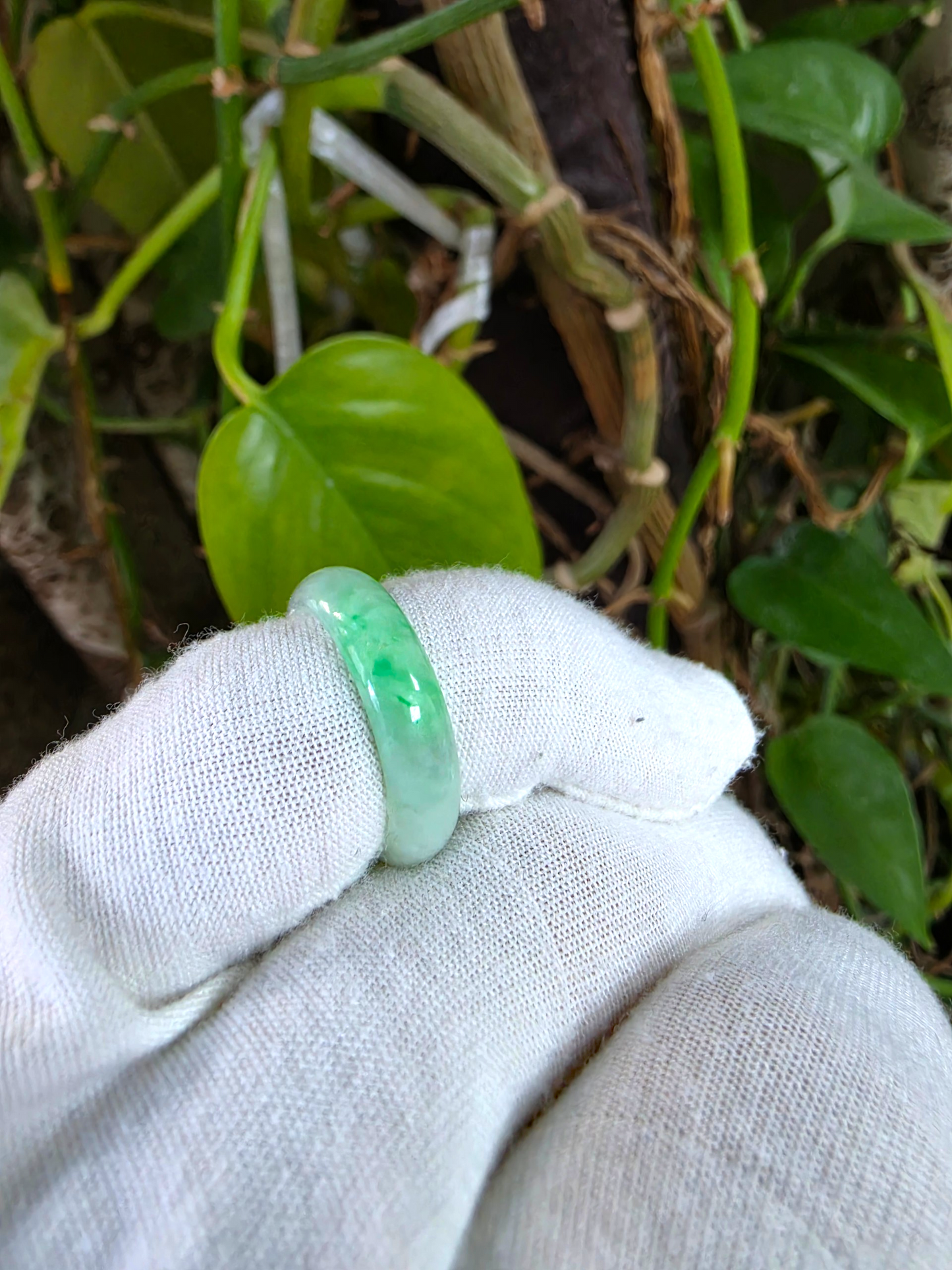 Burmese Green A-Jade Infinity Band Ring - Size US 6.5 - V9