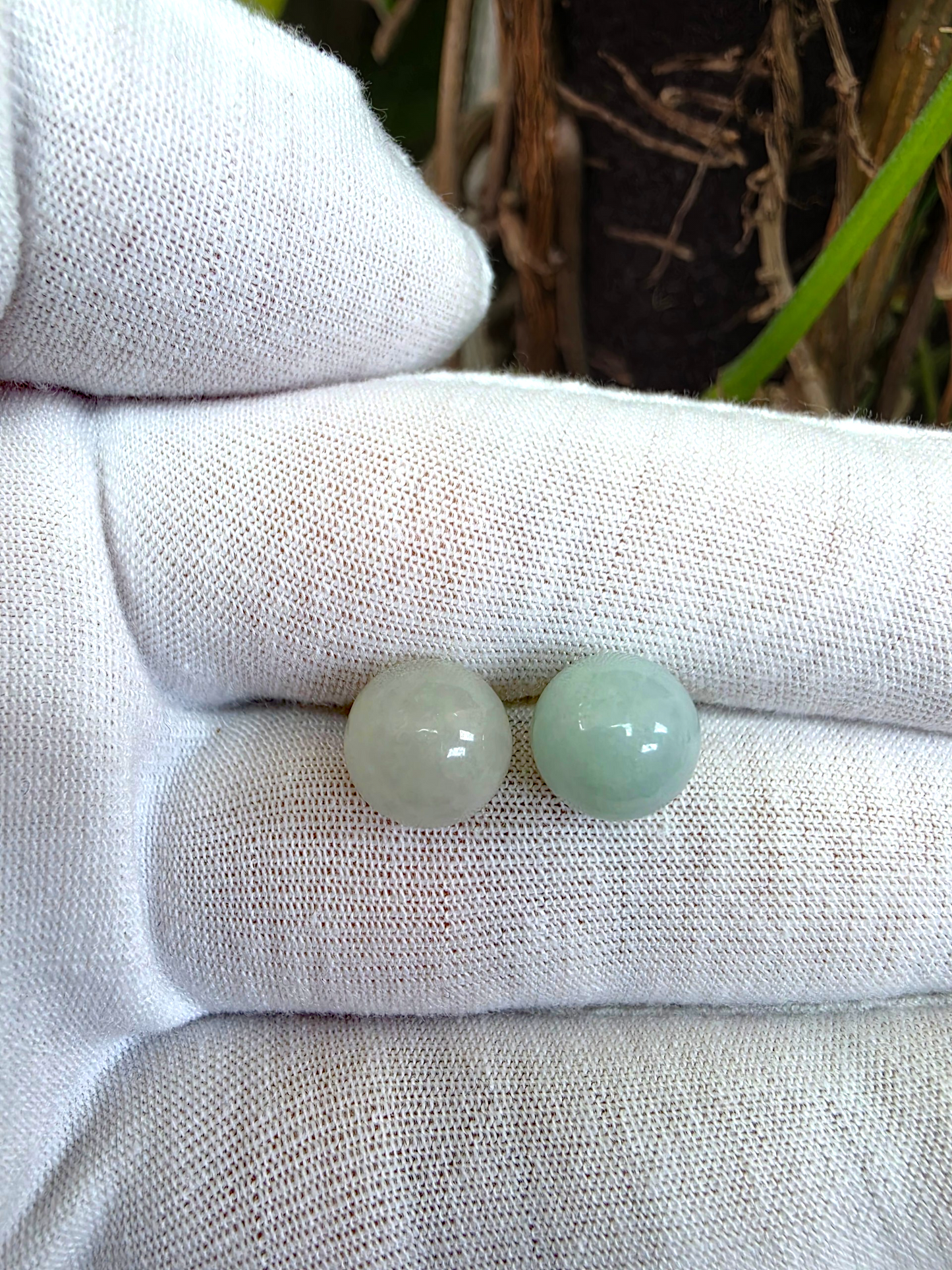 Beads of Eternity 10.50 mm Pale Green and Lavender Burmese A-Jade Stud Earrings (with 18K Yellow Gold) - Certified - V3