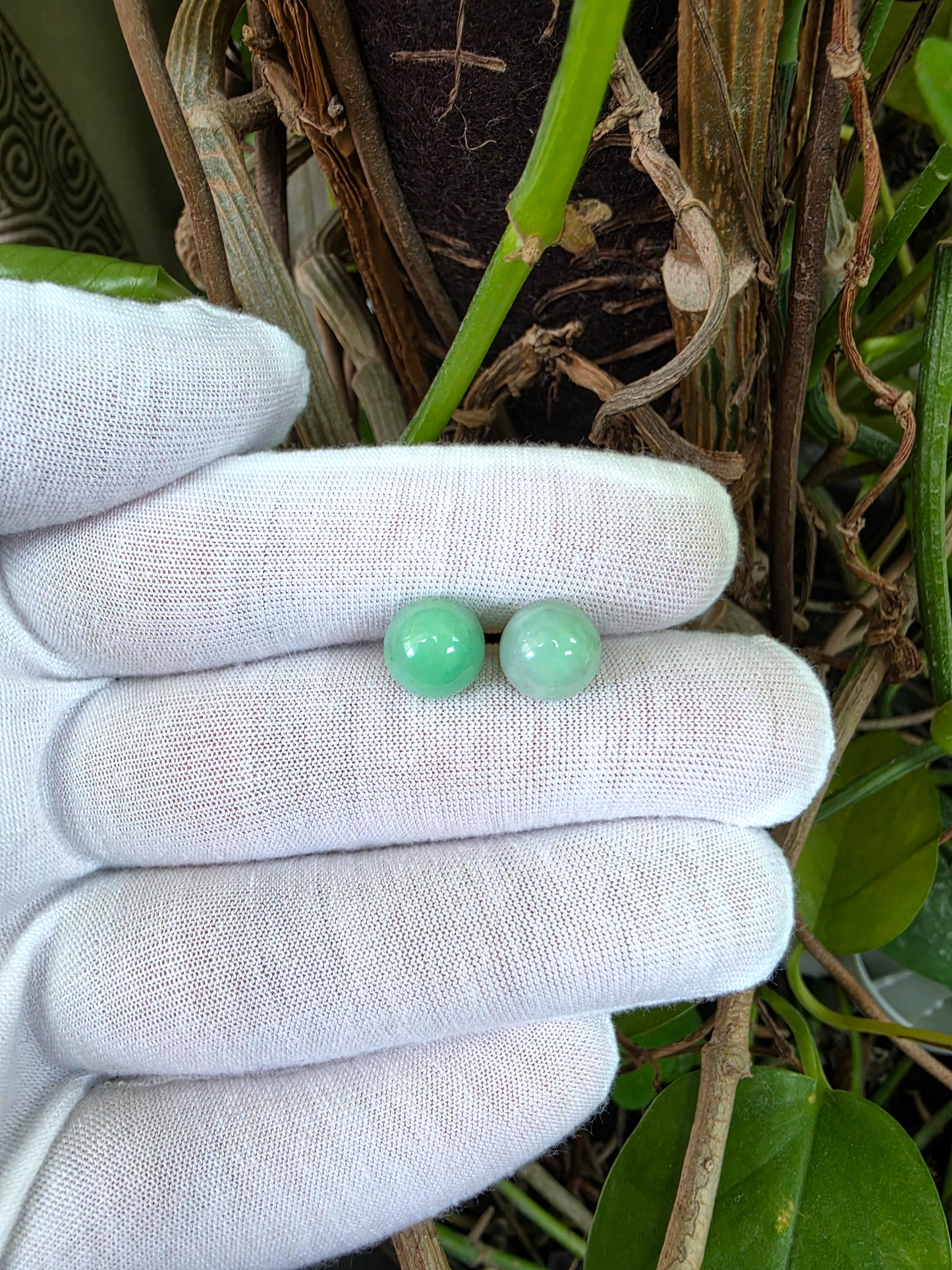 Beads of Eternity 10.50 mm Bright Green Burmese A-Jade Stud Earrings (with 18K Yellow Gold) - Certified - V4