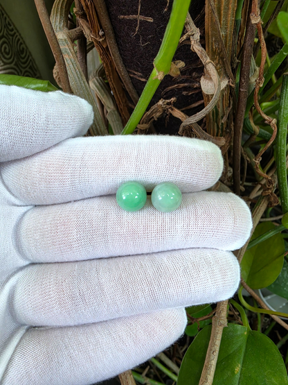 Beads of Eternity 10.50 mm Bright Green Burmese A-Jade Stud Earrings (with 18K Yellow Gold) - Certified - V4