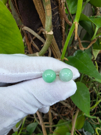Beads of Eternity 10.50 mm Bright Green Burmese A-Jade Stud Earrings (with 18K Yellow Gold) - Certified - V4