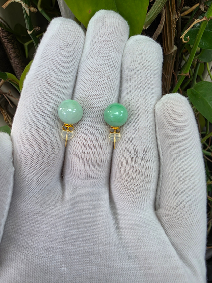 Beads of Eternity 10.50 mm Bright Green Burmese A-Jade Stud Earrings (with 18K Yellow Gold) - Certified - V4