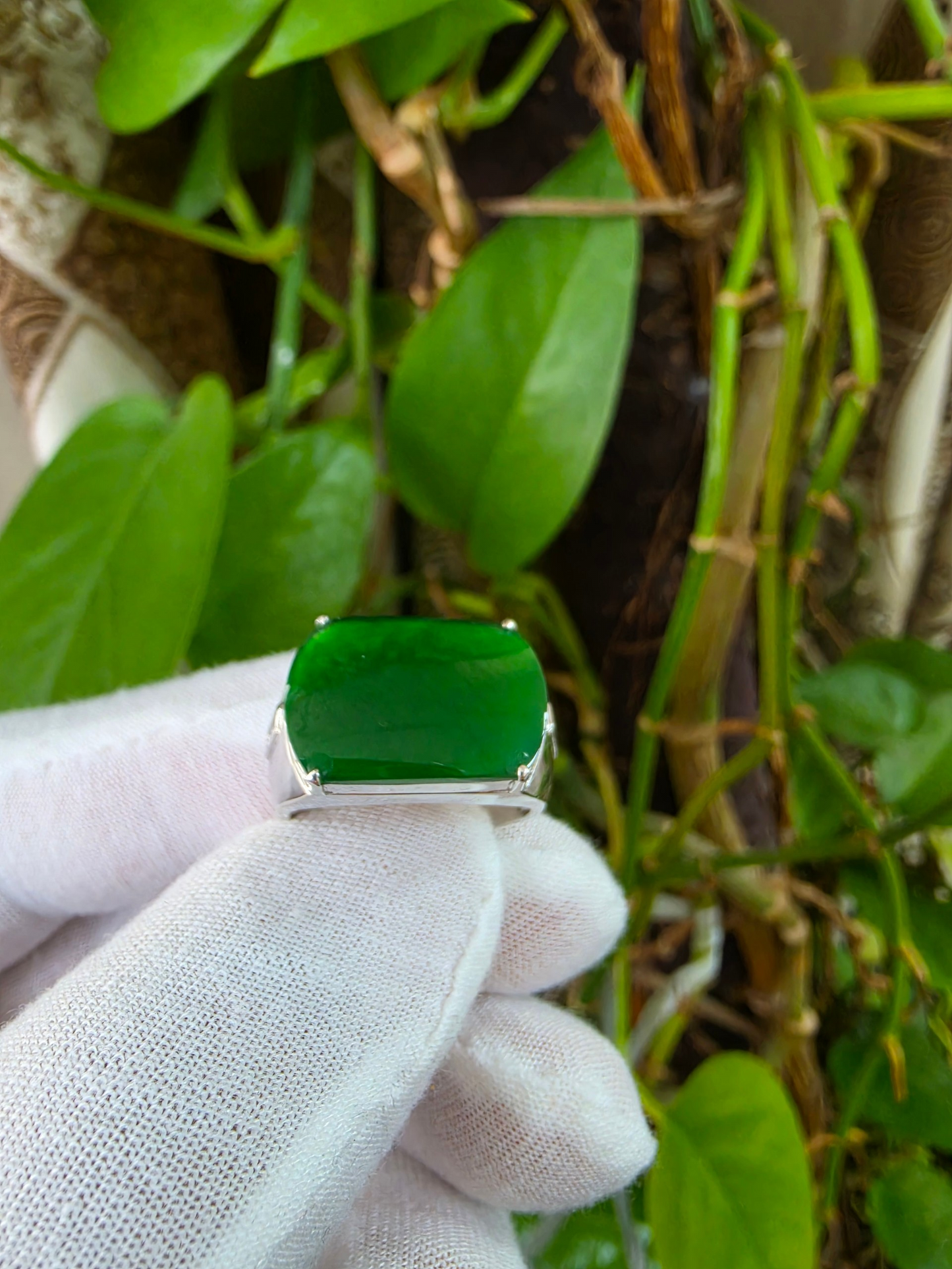 Odate MADE IN JAPAN Certified Vivid-Imperial Intense Green Burmese A-Jadeite Men's Ring (with 18K White Gold and Diamonds) Size US 9.5 - R24