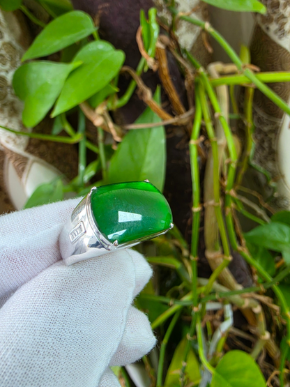Odate MADE IN JAPAN Certified Vivid-Imperial Intense Green Burmese A-Jadeite Men's Ring (with 18K White Gold and Diamonds) Size US 9.5 - R24