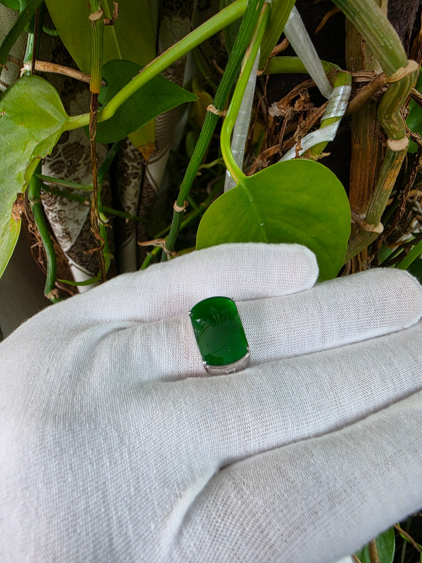Odate MADE IN JAPAN Certified Vivid-Imperial Intense Green Burmese A-Jadeite Men's Ring (with 18K White Gold and Diamonds) Size US 9.5 - R24