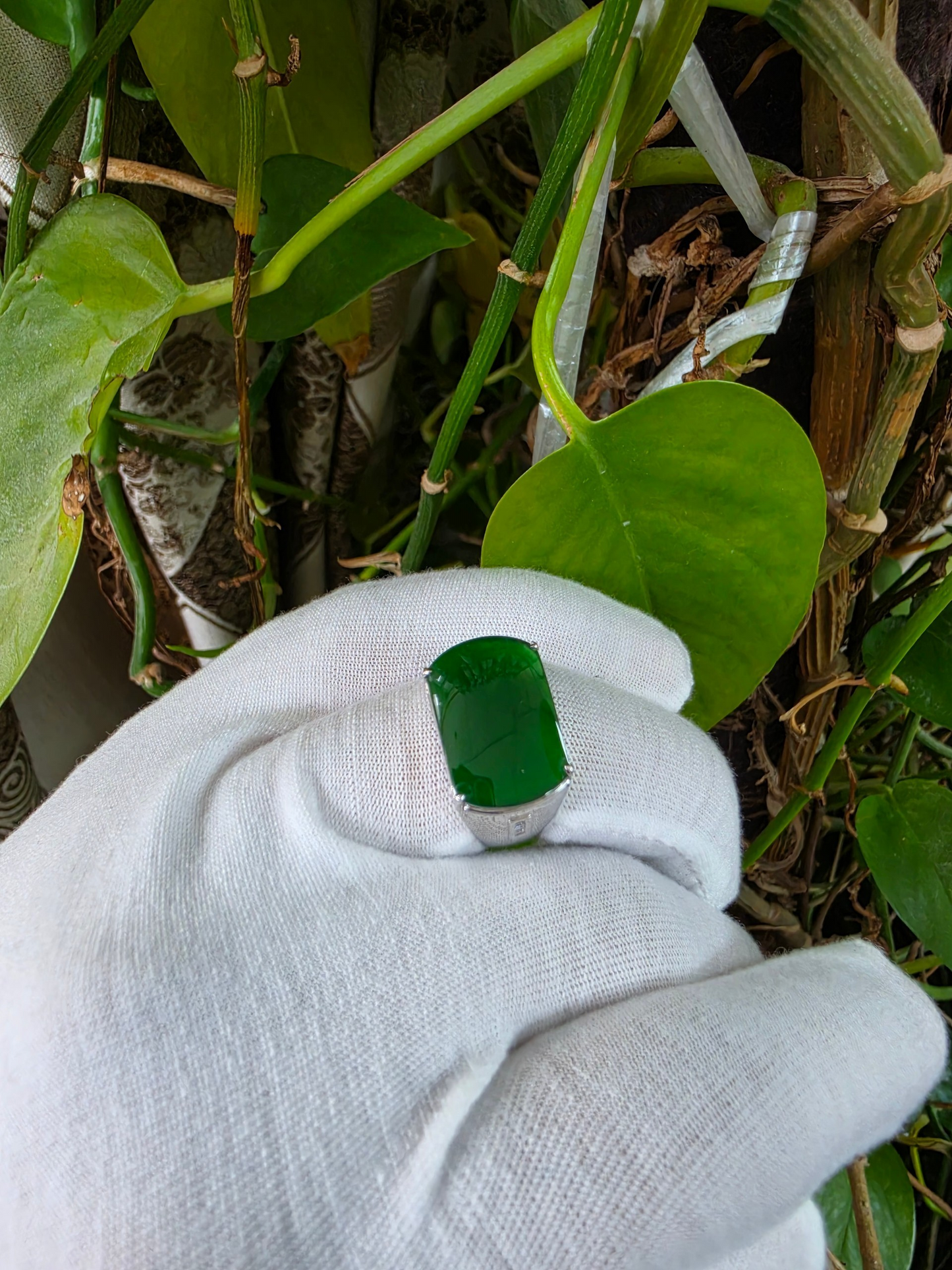Odate MADE IN JAPAN Certified Vivid-Imperial Intense Green Burmese A-Jadeite Men's Ring (with 18K White Gold and Diamonds) Size US 9.5 - R24