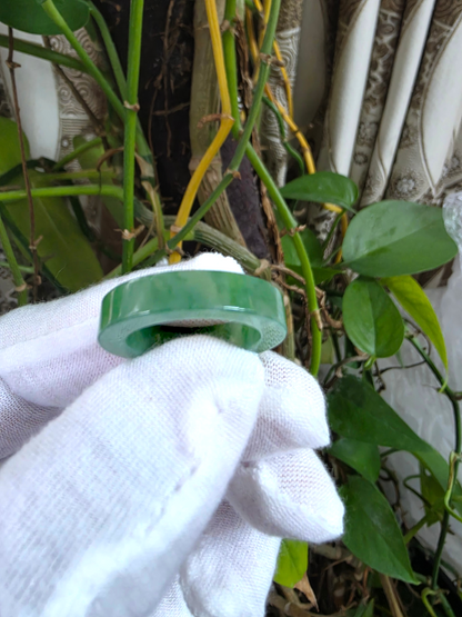 Master's Burmese Green A-Jadeite Infinity Band Ring Size US 9 - 09026 - Certified