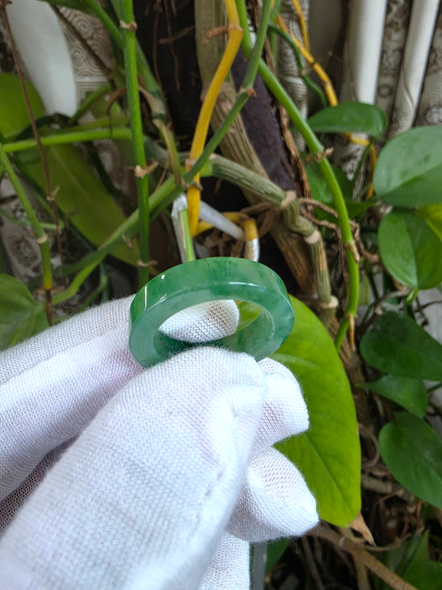 Master's Burmese Green A-Jadeite Infinity Band Ring Size US 9 - 09026 - Certified