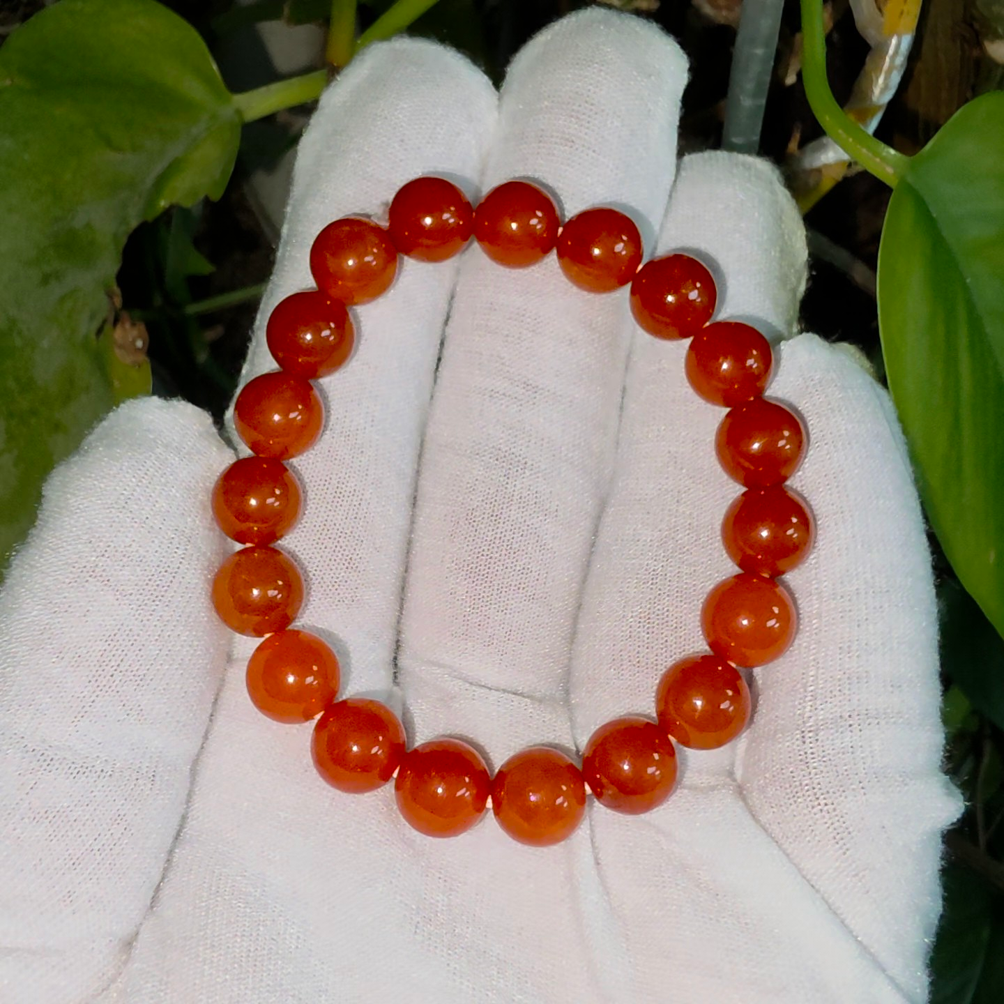 Imperial Japanese Red Burmese A-Jade Beaded Bracelet (MADE IN JAPAN) (10 mm Each x 19 beads) - Certified 05067