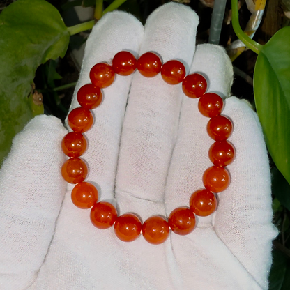 Imperial Japanese Red Burmese A-Jade Beaded Bracelet (MADE IN JAPAN) (10 mm Each x 19 beads) - Certified 05067