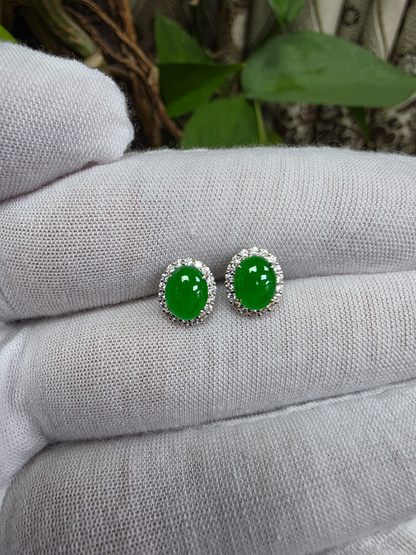 Eternal Sunshine Bright Imperial Green Burmese A-Jade Stud Earrings with Diamond Halo and 18K White Gold - Certified - V7