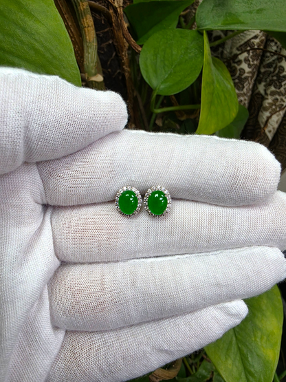 Eternal Sunshine Bright Imperial Green Burmese A-Jade Stud Earrings with Diamond Halo and 18K White Gold - Certified - V7