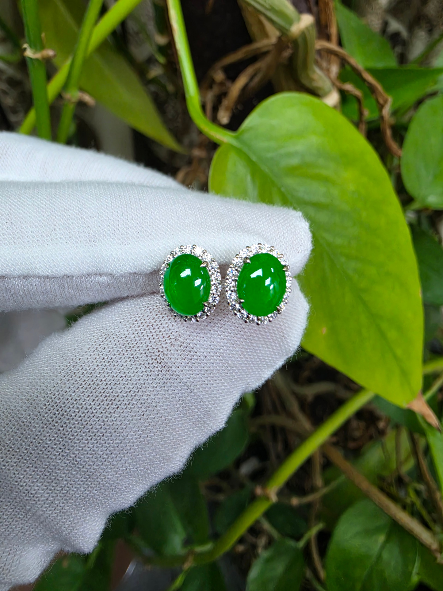 Eternal Sunshine Bright Imperial Green Burmese A-Jade Stud Earrings with Diamond Halo and 18K White Gold - Certified - V7