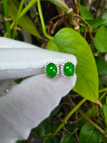 Eternal Sunshine Bright Imperial Green Burmese A-Jade Stud Earrings with Diamond Halo and 18K White Gold - Certified - V7