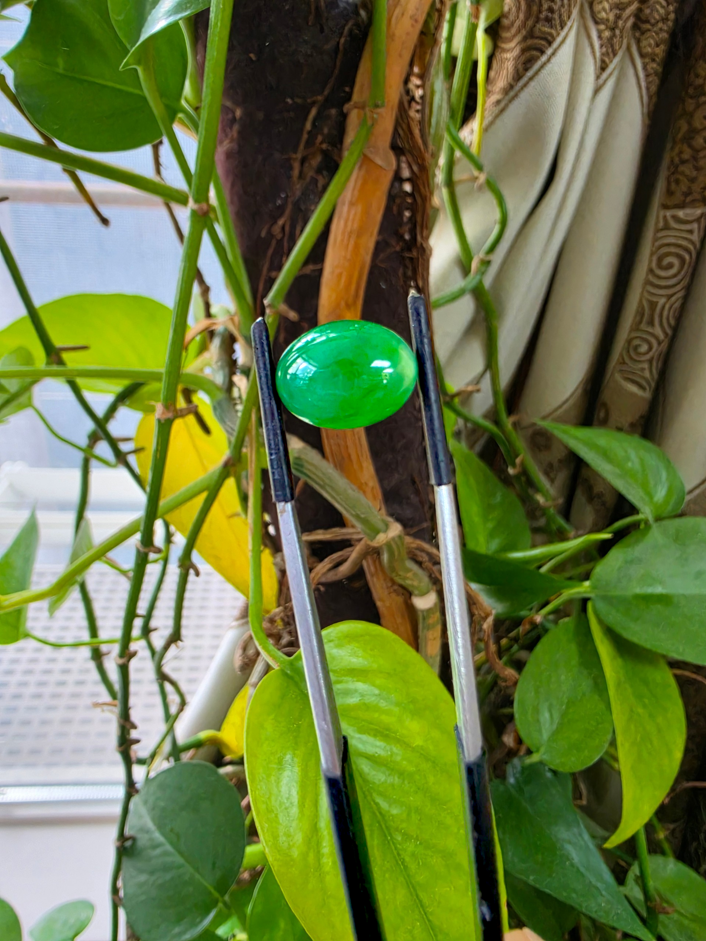 Certified MADE IN JAPAN 9.05 cts. Bright Apple Green Burmese A-Jadeite Oval Cabochon Loose Stone LS63