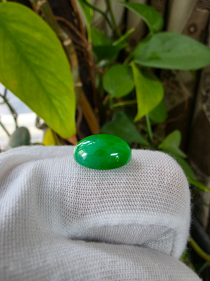 Certified MADE IN JAPAN 9.05 cts. Bright Apple Green Burmese A-Jadeite Oval Cabochon Loose Stone LS63