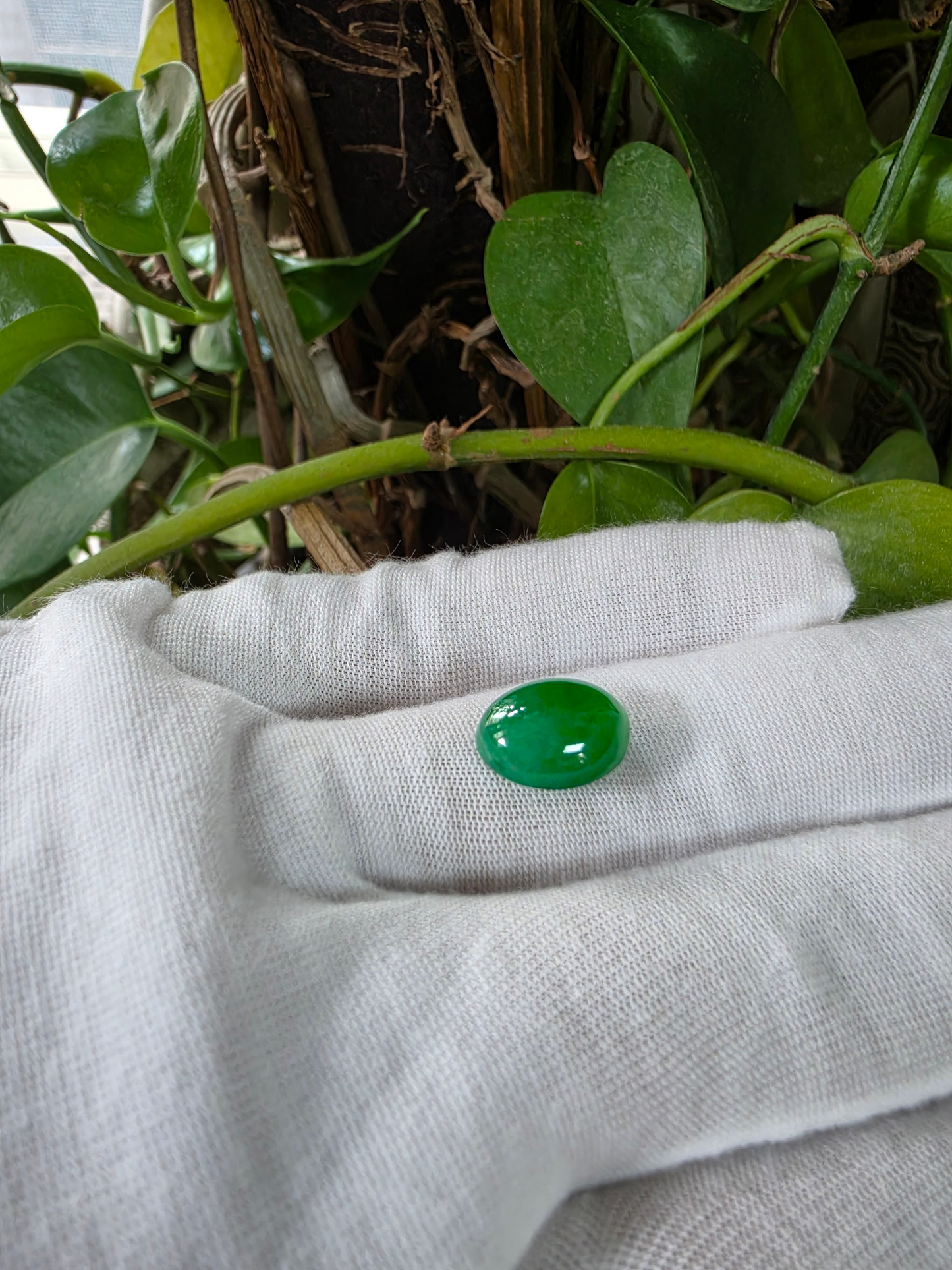 Certified MADE IN JAPAN 9.05 cts. Bright Apple Green Burmese A-Jadeite Oval Cabochon Loose Stone LS63