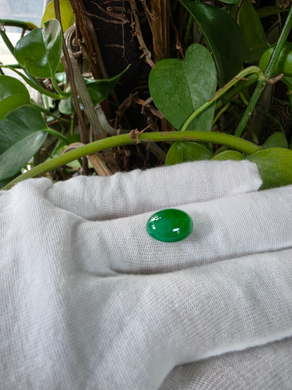 Certified MADE IN JAPAN 9.05 cts. Bright Apple Green Burmese A-Jadeite Oval Cabochon Loose Stone LS63