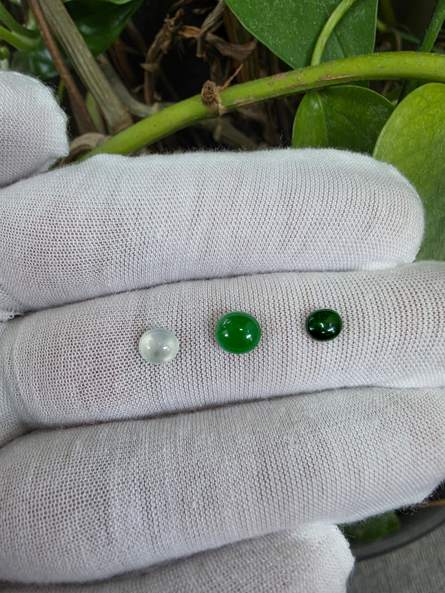 Certified 2.57 cts. Three Stone Burmese A-Jadeite Oval Cabochon Calibrated Loose Stones Jewelry Set JS004