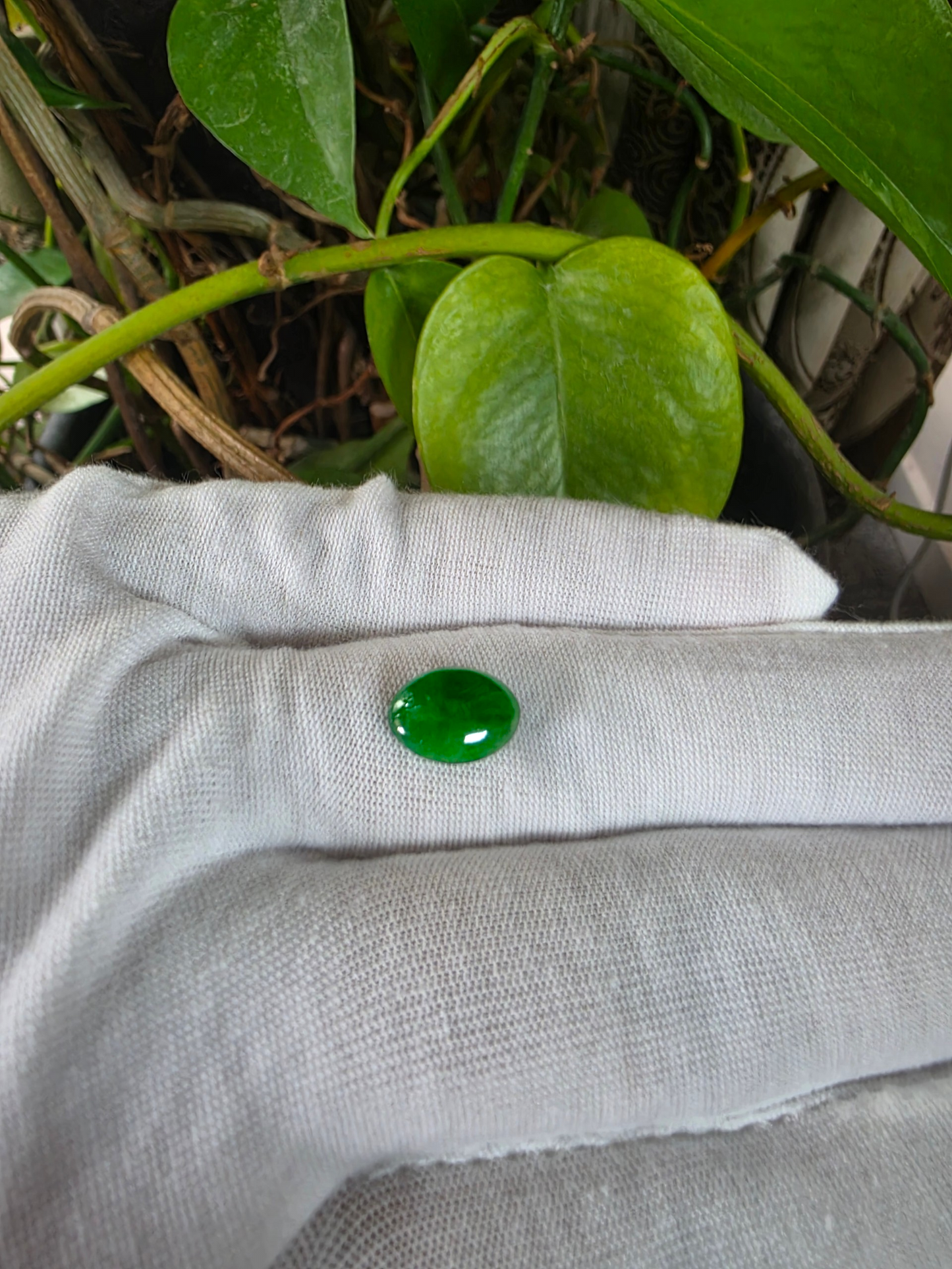 Certified MADE IN JAPAN 3.622 cts. Bright Intense Green Burmese A-Jadeite Oval Cabochon Loose Stone LS66