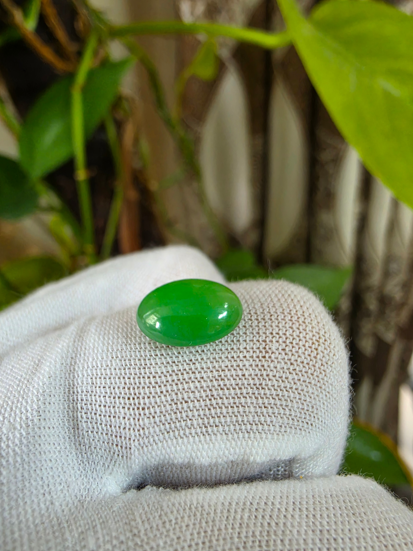 Certified MADE IN JAPAN 4.42 cts. Green Burmese A-Jadeite Oval Cabochon Loose Stone LS67