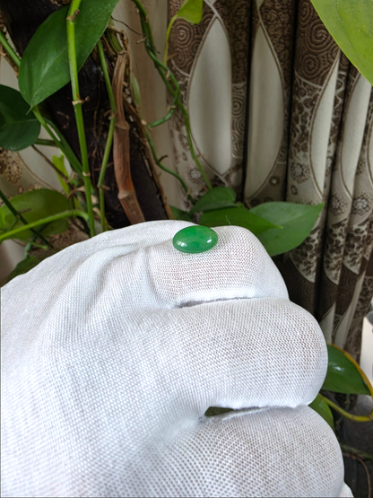 Certified MADE IN JAPAN 4.42 cts. Green Burmese A-Jadeite Oval Cabochon Loose Stone LS67