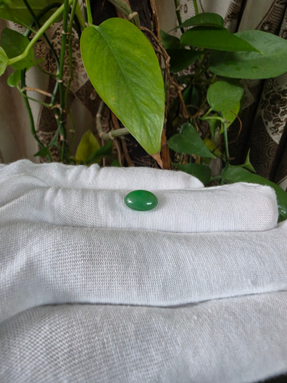 Certified MADE IN JAPAN 4.42 cts. Green Burmese A-Jadeite Oval Cabochon Loose Stone LS67