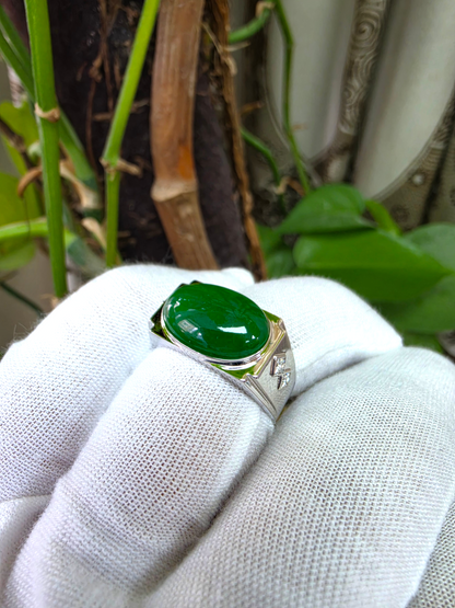 Chita MADE IN JAPAN 8.80 cts. Certified Intense Green Burmese A-Jadeite Men's Ring (18K White Gold and White Diamonds) Size US9.5  - R25