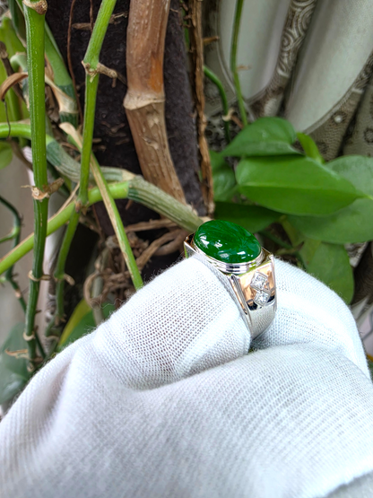 Chita MADE IN JAPAN 8.80 cts. Certified Intense Green Burmese A-Jadeite Men's Ring (18K White Gold and White Diamonds) Size US9.5  - R25