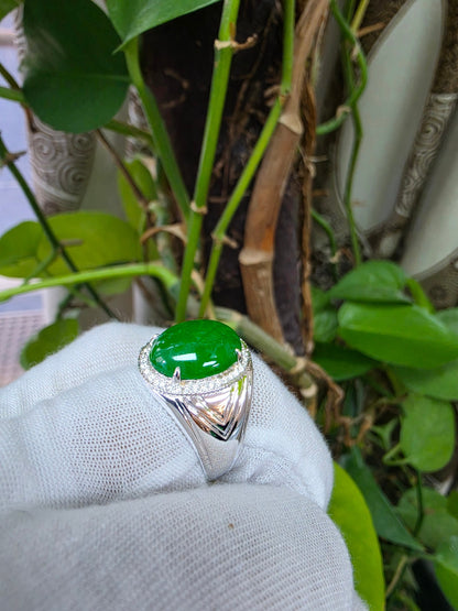 Chiba MADE IN JAPAN 7.42 cts. Certified Vivid Apple Green Burmese A-Jadeite Ring (with 18K White Gold and White Diamonds) Size US9.5  - R26