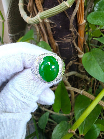 Chiba MADE IN JAPAN 7.42 cts. Certified Vivid Apple Green Burmese A-Jadeite Ring (with 18K White Gold and White Diamonds) Size US9.5  - R26