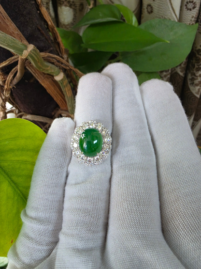 Shinshiro MADE IN JAPAN 6.88 cts. Certified Intense Icy Green Burmese A-Jadeite Ring (with 18K White Gold and White Diamonds) Size US7 - R27