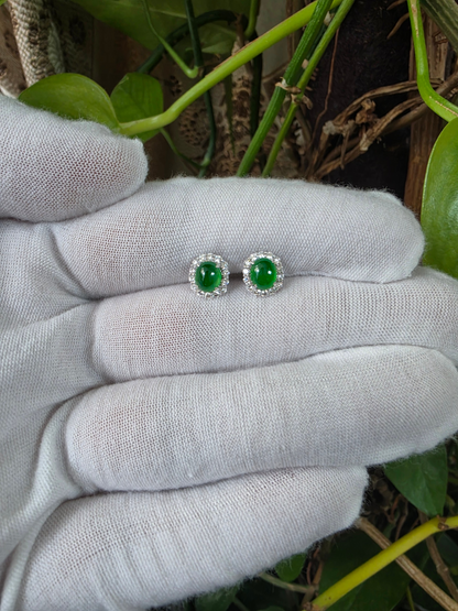 Eternal Sunshine 1.91 cts. Vivid Imperial Green Burmese A-Jade Stud Earrings (with 18K White Gold and White Diamonds) - Certified - V8
