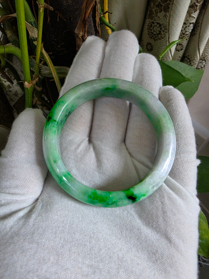Certified Earth's (MADE IN JAPAN) Burmese Icy Green A-Jade Round Bangle Bracelet - 08842