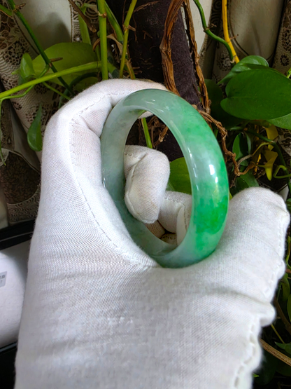 Certified Earth's (MADE IN JAPAN) Burmese Icy Imperial Green A-Jade Round Bangle Bracelet - 08843
