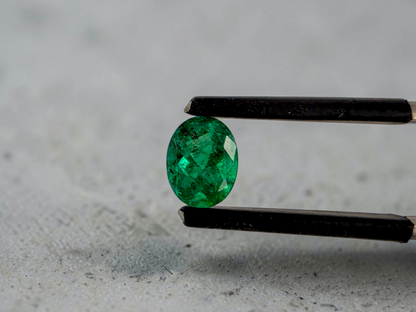 GIA Certified 1.25 cts. Moderate Oil Vivid Muzo Green (Columbia) Emerald Oval Shape Loose Stone LS81