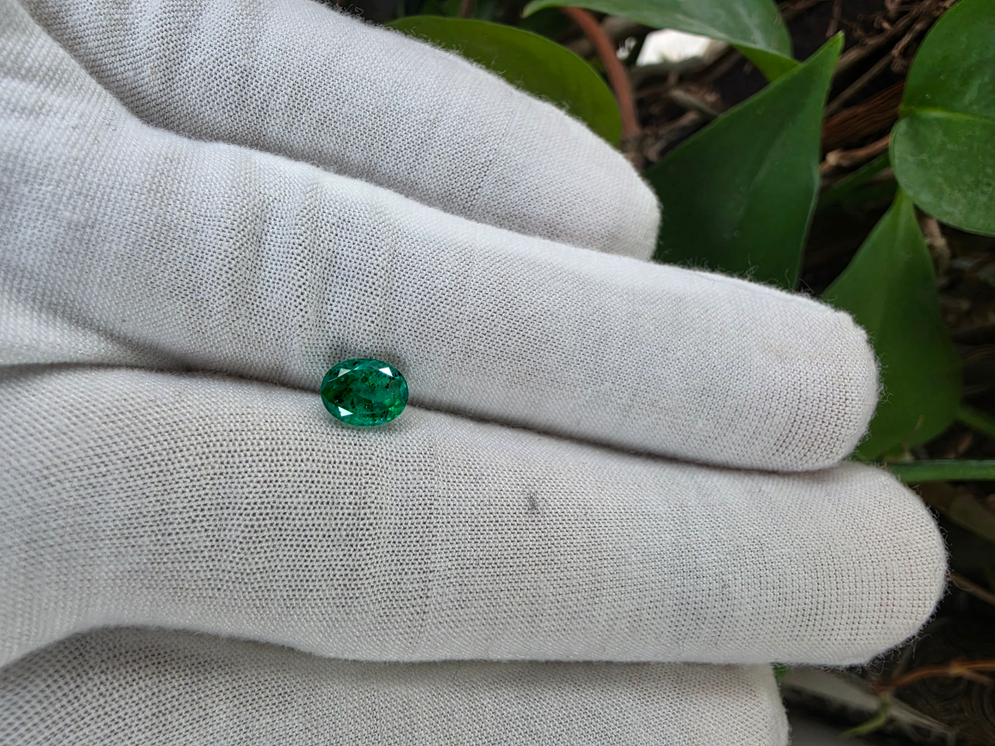 GIA Certified 1.25 cts. Moderate Oil Vivid Muzo Green (Columbia) Emerald Oval Shape Loose Stone LS81