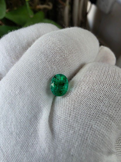 GIA Certified 1.25 cts. Moderate Oil Vivid Muzo Green (Columbia) Emerald Oval Shape Loose Stone LS81