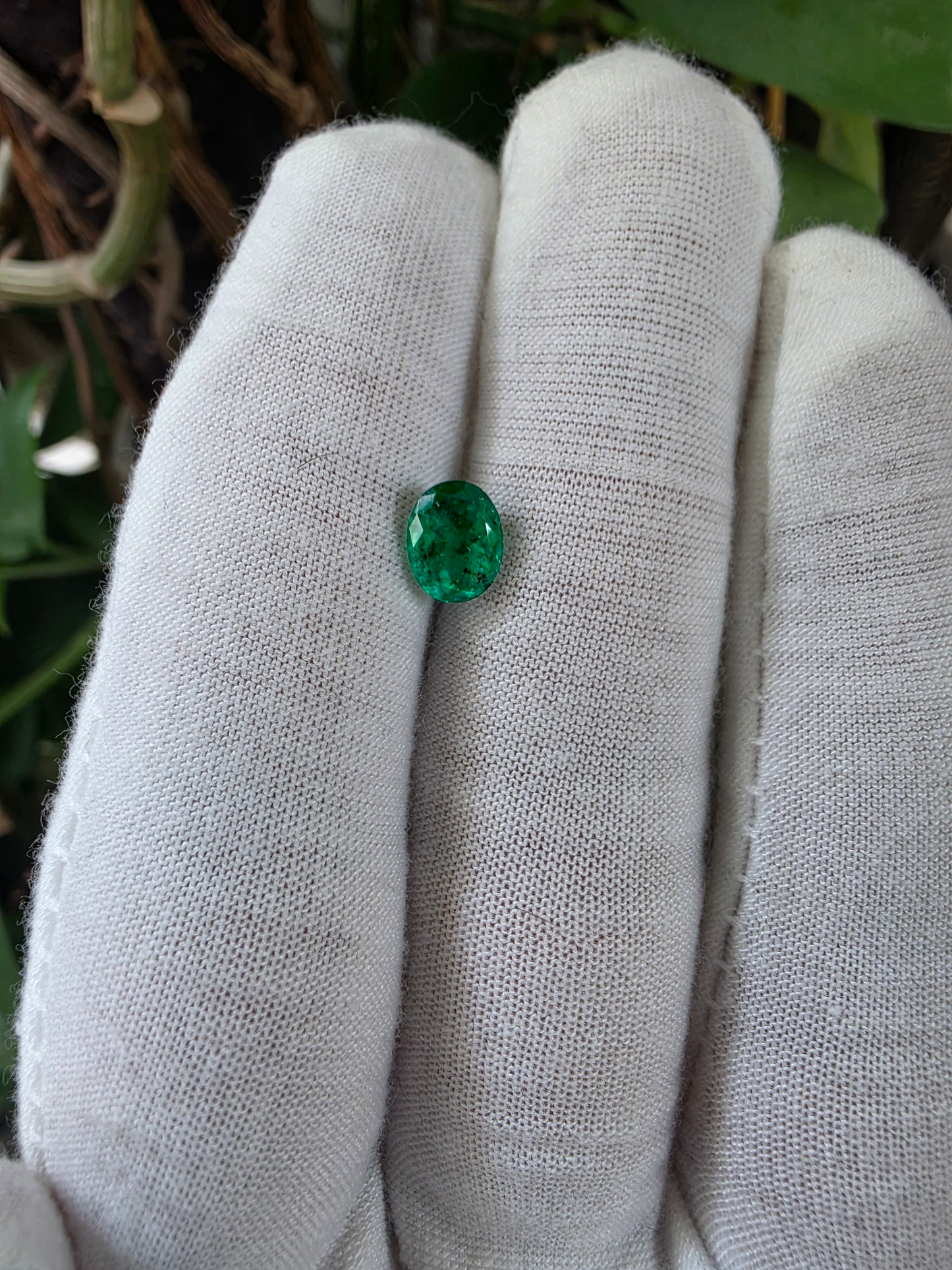 GIA Certified 1.25 cts. Moderate Oil Vivid Muzo Green (Columbia) Emerald Oval Shape Loose Stone LS81