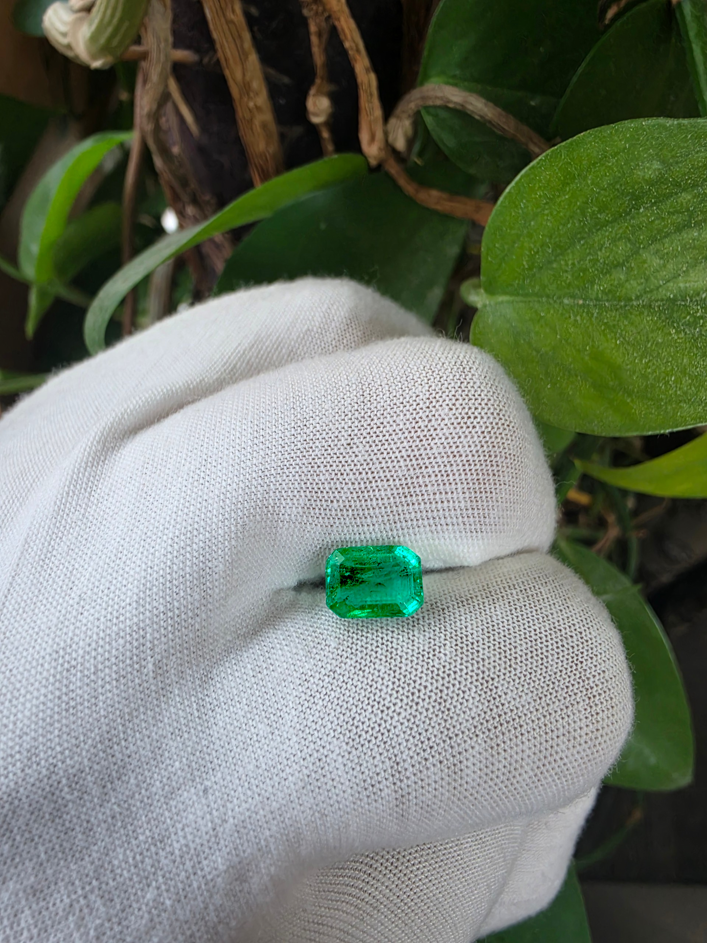 GIA Certified 1.98 cts Minor Oil Bright Green (Columbia) Emerald Octagon Shape Loose Stone LS82