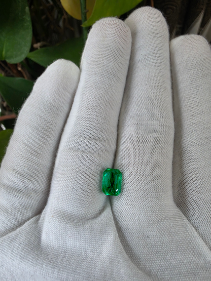 GIA Certified 1.98 cts Minor Oil Bright Green (Columbia) Emerald Octagon Shape Loose Stone LS82