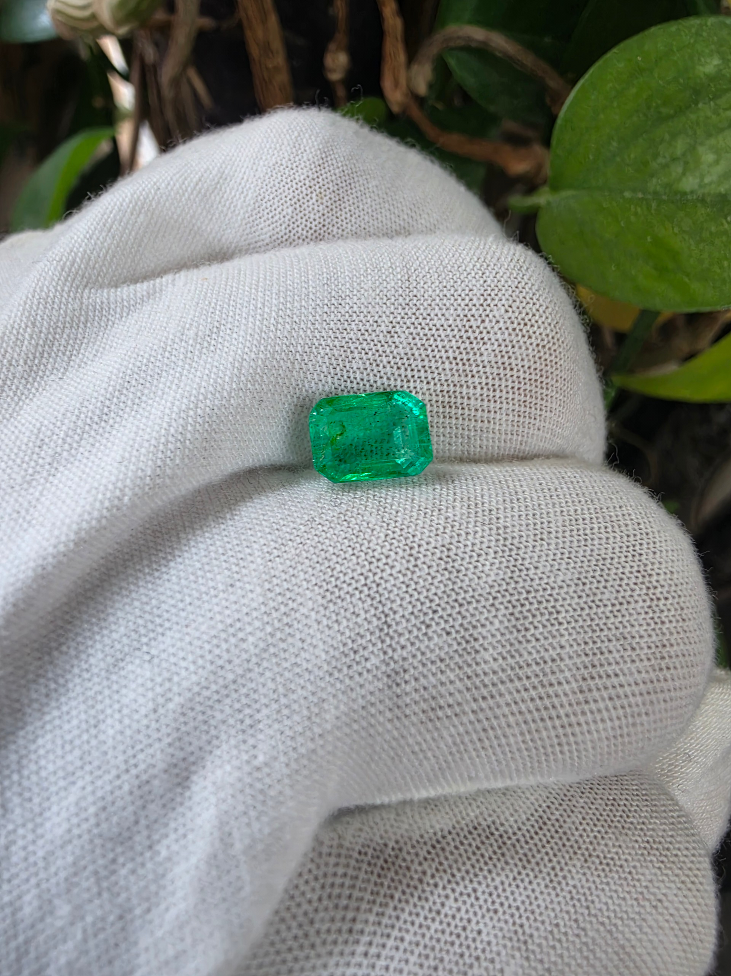 GIA Certified 1.98 cts Minor Oil Bright Green (Columbia) Emerald Octagon Shape Loose Stone LS82