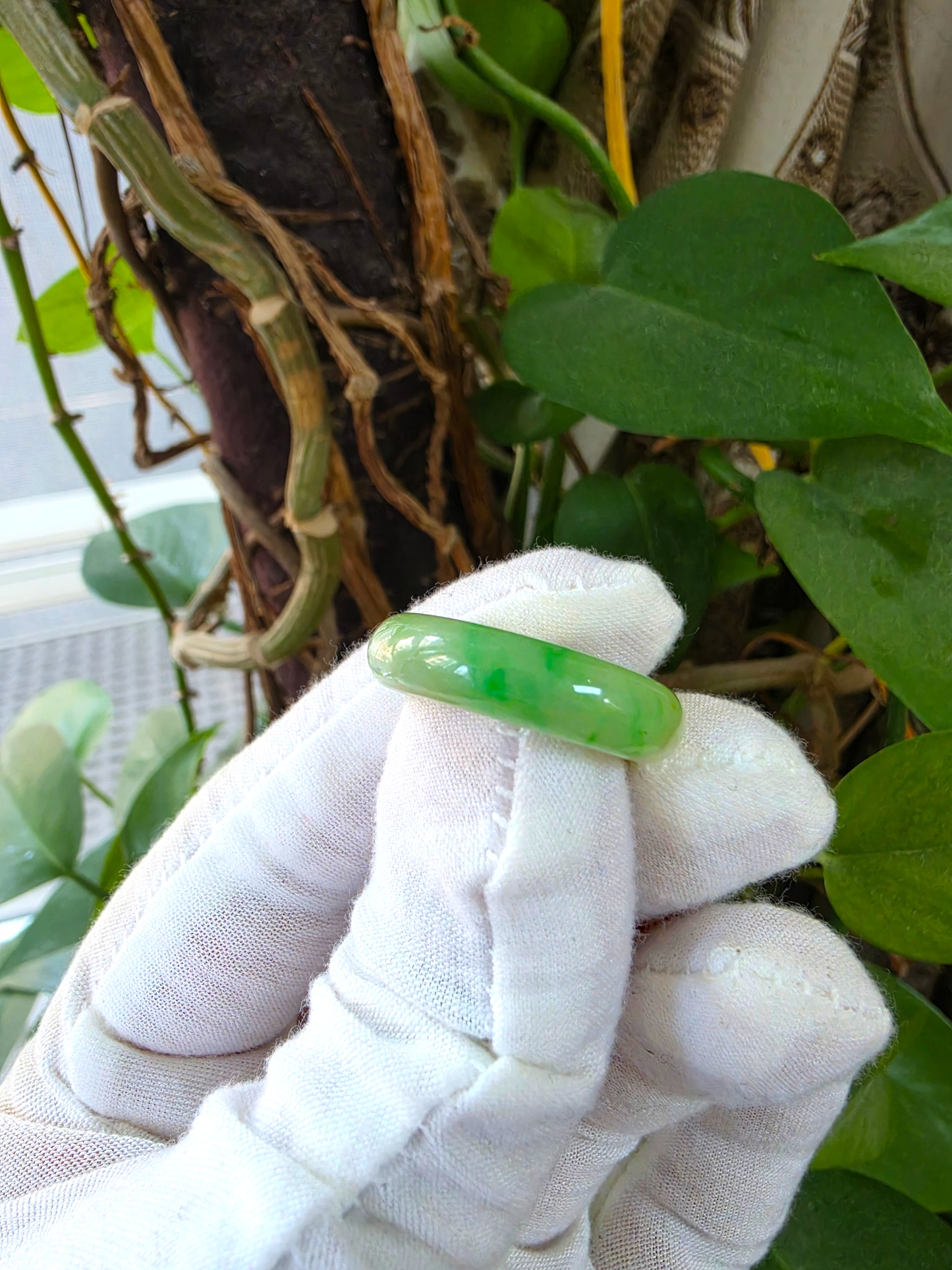 Master's Burmese Green A-Jadeite Infinity Band Ring Size US 7.5 - 09027 - Certified