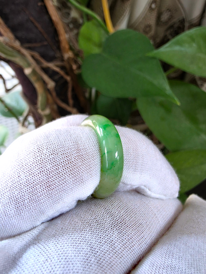 Master's Burmese Green A-Jadeite Infinity Band Ring Size US 7.5 - 09027 - Certified
