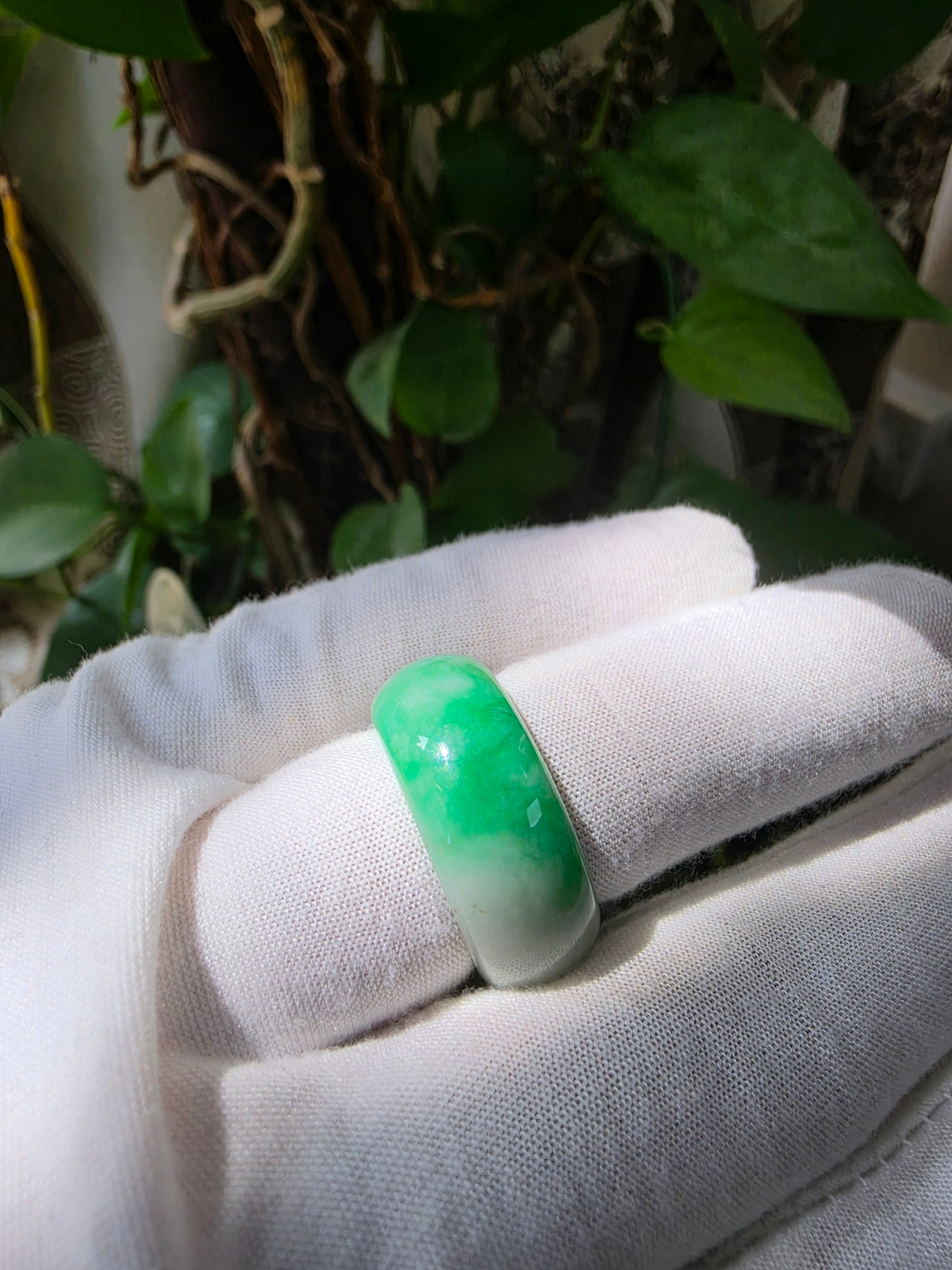 Master's Burmese Icy Bright Green and White A-Jadeite Infinity Band Ring Size US 10 - 09031 - Certified