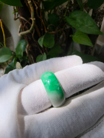 Master's Burmese Icy Bright Green and White A-Jadeite Infinity Band Ring Size US 10 - 09031 - Certified
