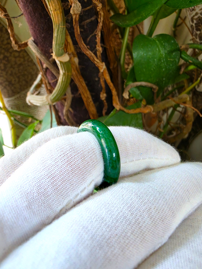 Master's Burmese Icy Deep Apple Green A-Jadeite Infinity Band Ring Size US 9 - 09032 - Certified