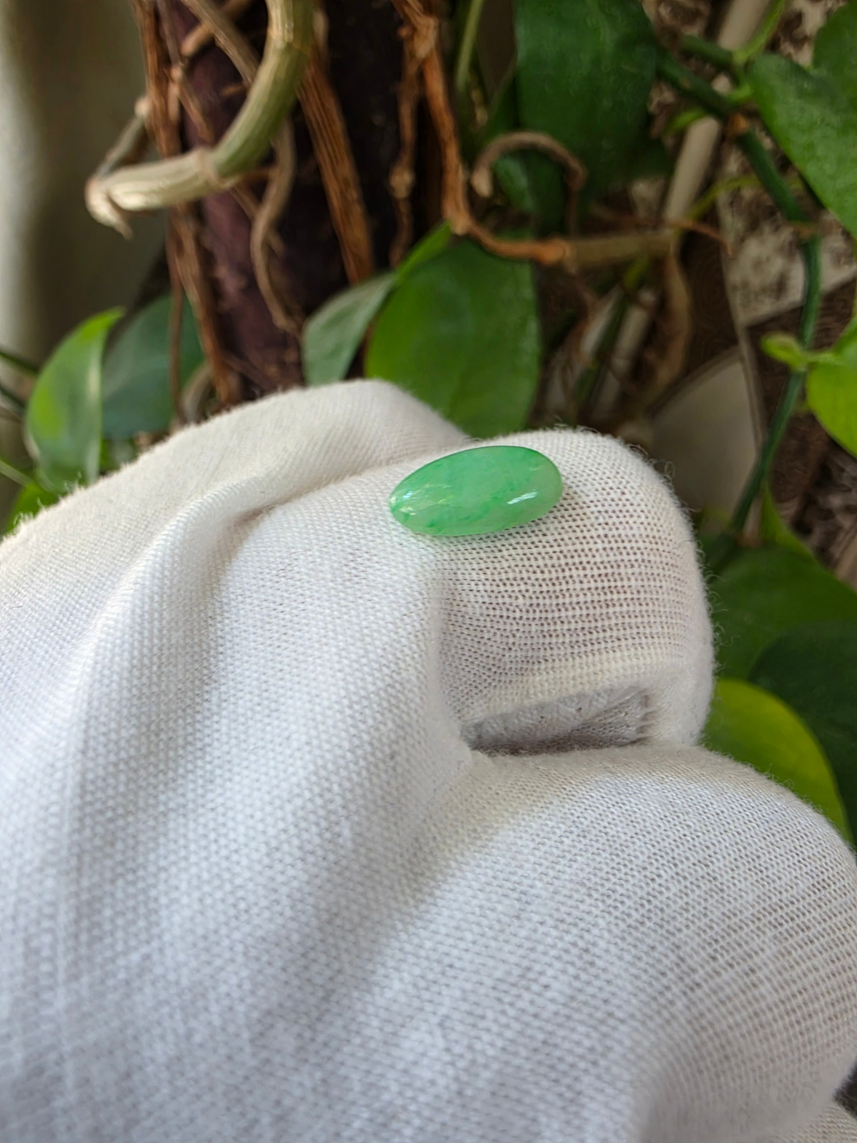 Certified MADE IN JAPAN 2.336 cts. Pale Green Burmese A-Jadeite Long Oval Cabochon Loose Stone LS88